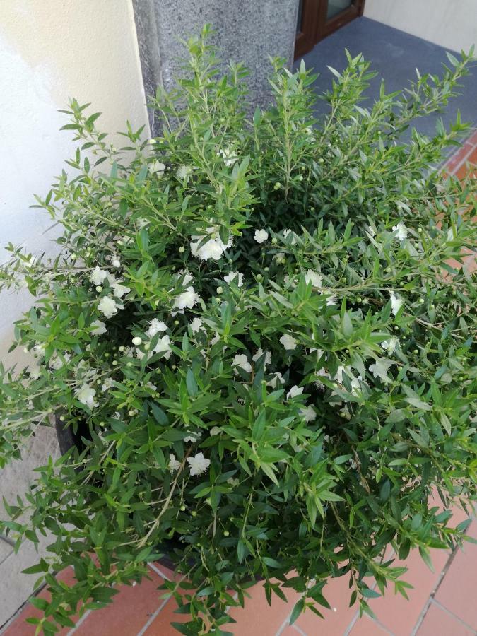 Jerula B&B Agerola Ngoại thất bức ảnh